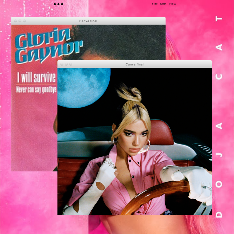 Don’t Start Surviving, Say&nbsp;So