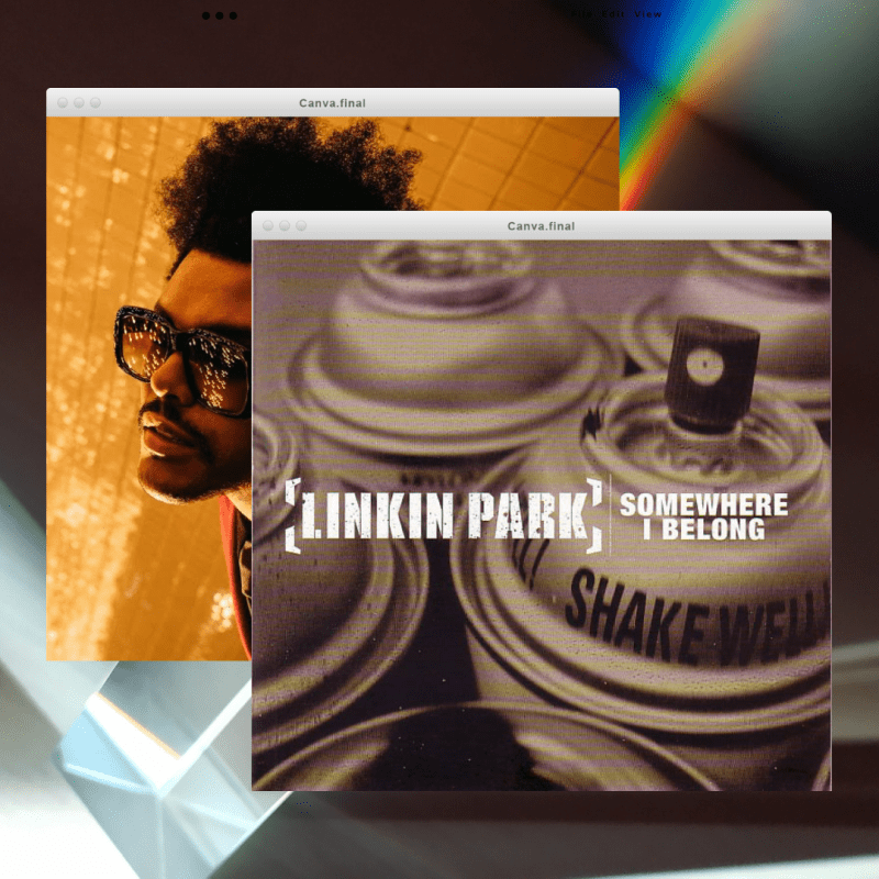 Somewhere By the&nbsp;Lights